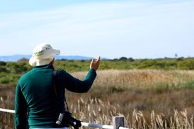 Ecotourism in Lagoa dos Salgados, birdwatching, walking, workshop and lunch