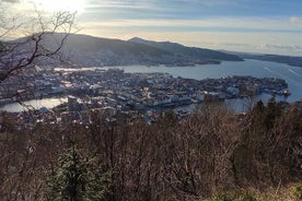 Excursão a pé privada de meio dia em Bergen com jantar e funicular