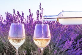 Excursion œnologique d'une journée en petit groupe en Provence dans le vignoble de Châteauneuf du Pape au départ d'Aix