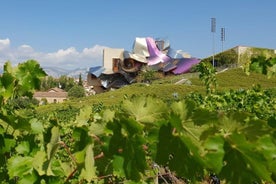 Rioja Wine Tour: 2 Wineries From Pamplona