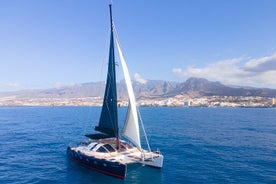 Walvissen en dolfijnen spotten op Tenerife in catamaran