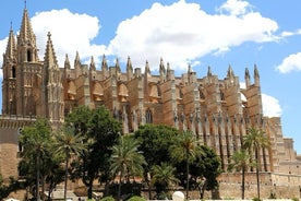 Visite historique à pied à Palma de Majorque