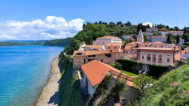 Capital of Slovenia, panoramic view with old town and castle.