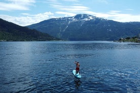 Aluguel de pranchas de SUP (pranchas de remo)