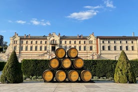 Excursão de dia inteiro ao Mimi Castel com degustação de vinhos