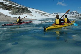 Stygge: Kajaksigling og Jökulganga