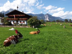 Photo of Village of Reith im Alpbachtal in Tyrol, Austria.