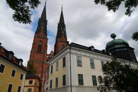 Begeleide 1 uur durende wandeling door de stad van Uppsala die grote attracties moet zien !!