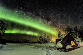 Tour Fotográfico das Luzes do Norte saindo de Rovaniemi