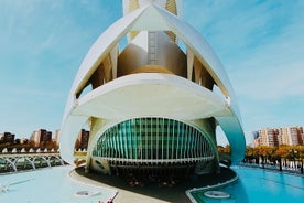 Tour di un giorno a Valencia da Alicante