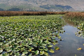 Stand Up Paddle Board eller kajakudlejning i Shkodër