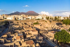 Excursión de día completo a Pompeya y Herculano: entrada y almuerzo incluidos