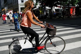 3 Hours Small Group Biking Tour in Copenhagen