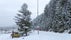 Kadınçayır Natural Park, Ilgaz, Çankırı, Central Anatolia Region, Turkey