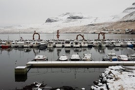 Tour naar Fuglafjørð en Elduvík