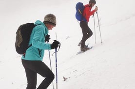 Tour a piedi con le ciaspole a Poiana Brasov