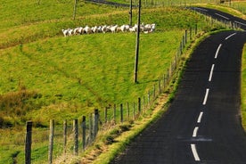 Landausflug: Selbst geführter Tag an der Küste der Inishbofin-Insel Connemara.