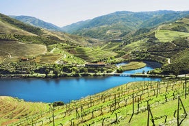 Porto: Douro Wine Tour with Lunch and River Cruise