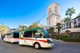 Granada City Train 1 or 2-Day Hop-On Hop-Off Ticket