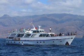 Avistamiento de ballenas desde Playa Santiago La Gomera