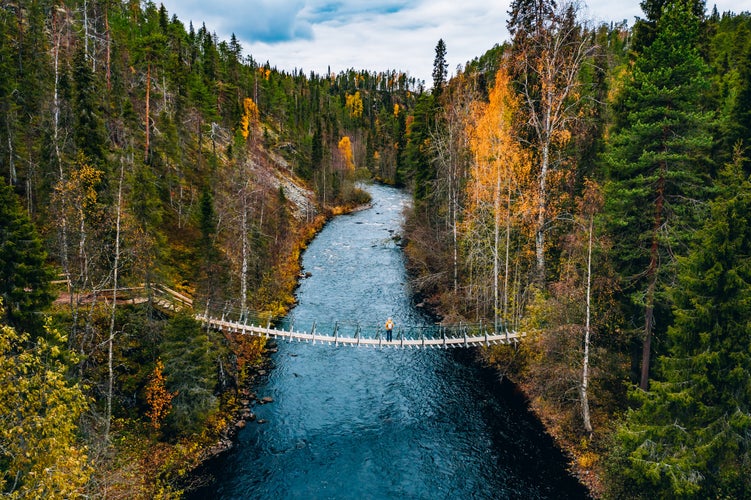 Aerial view of fall forest and blue river with bridge in Finland. Beautiful autumn landscape.