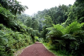 반 투어 Sete Cidades + Lagoa do Fogo 풀 데이