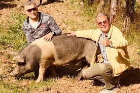 Visita della fattoria di Cinta Senese a Montepulciano