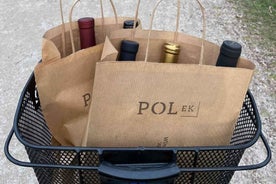 Maribor Wine Tasting Experience - Discover Local Wines