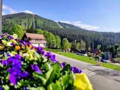 GRAND HARRACHOV PENSION v centru