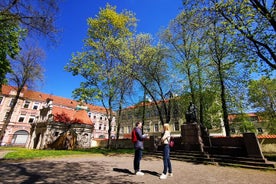 Casco antiguo de Vilnius y República de Užupis - Tour privado a pie