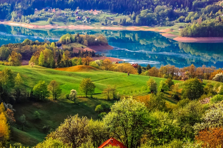 shutterstock_1744271255.jpg