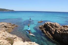 Kayak De Mer au Coeur de La Réserve Naturelle de Ramatuelle