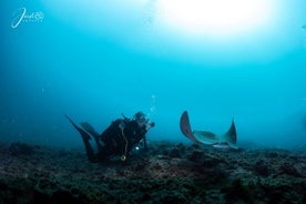 Lezioni di immersioni guidate di 3 ore a Tenerife