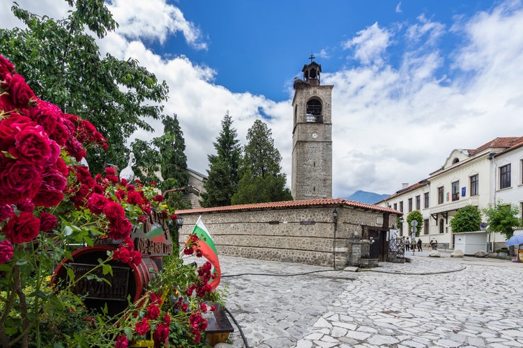 Photo of Red roses in Bansko, the most important bulgarian town for winter sport. Bansko, Bulgaria, June 2017.