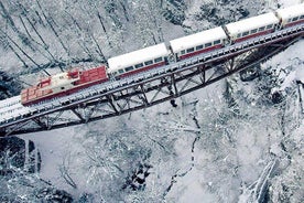 Station de ski Bakuriani et le légendaire Borjomi (groupe)