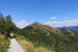 Excursion privée d'une demi-journée au Diamond Fort