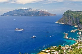 Private Transfer: Naples to Capri by Speedboat