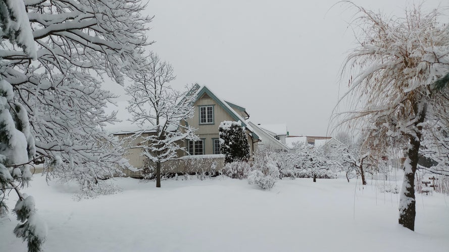 Photo of snowing in Winter ,Kongsberg ,Norway.