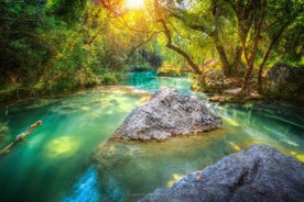 Verdon, La Cigale se prélasse aux Lacs du Verdon et dans le jacuzzi