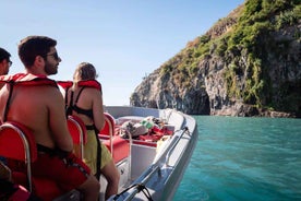 Funchal: Thrilling Speedboat tour - SEE DOLPHINS AND WHALES