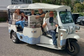 Visite privée Sintra, palais et montagne Tuk Tuk (2 à 6 personnes)