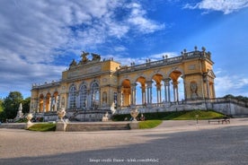 Explore Schönbrunn Palace & Gardens: Private 2.5-hour Guided Tour