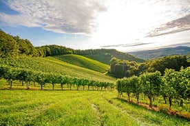 Privérondleiding door de Rhônevallei van een hele dag vanuit Lyon