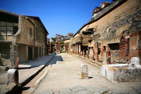 Pompeji och Herculaneum turnerar med tåg från Sorrento