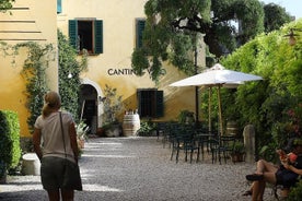 Vinsmagning i det historiske centrum af Lazise