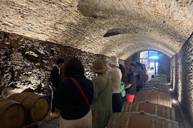 Dégustations de vins du Chianti et visite de 3 caves avec déjeuner et transfert