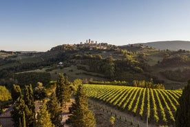 5 catas de vino en San Gimignano