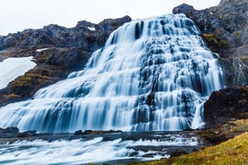 Dynjandi vattenfall och Island Farm Visit Tour