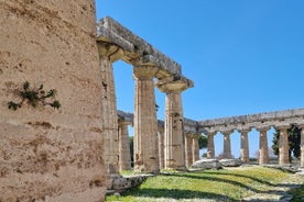 Half Day Private Tour to the Temples of Paestum