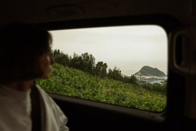 SENDERISMO viñedos TXAKOLI, ZUMAIA y GETARIA - Tour privado al aire libre y gastronómico